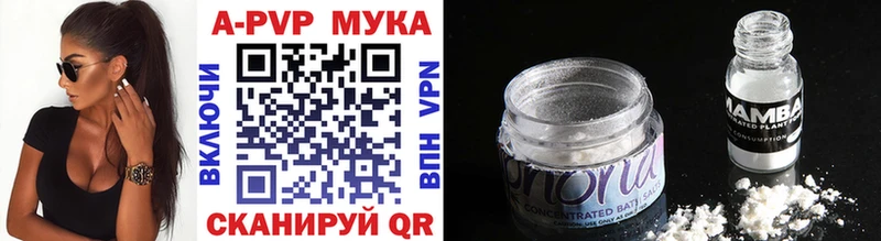 Alfa_PVP СК КРИС Абакан